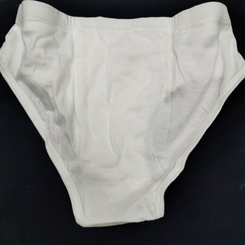 10 Slips coton blanc petit bateau Taille 92