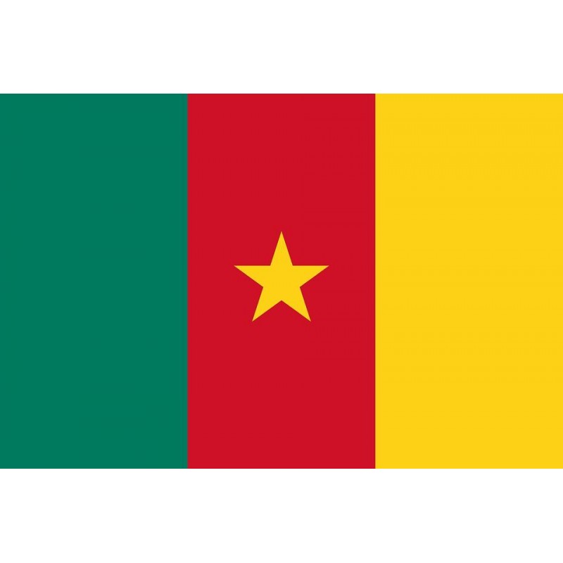 Drapeau camerounais