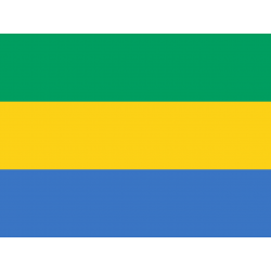 Drapeau Gabonais