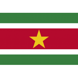 Drapeau du Suriname