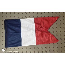 Capitaine de vaisseau étamine