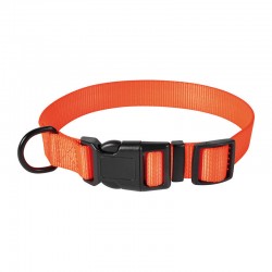 collier chien de chasse