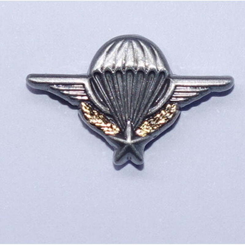 Pin's brevet para
